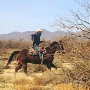 Meet your Posher, Ronald